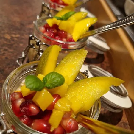 Geringer Hotel Schladming