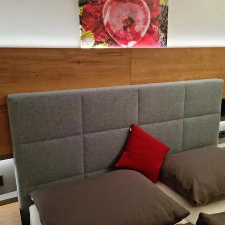 Geringer Hotel Schladming