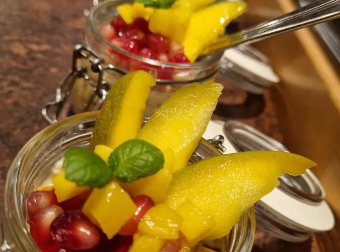 Geringer Hotel Schladming